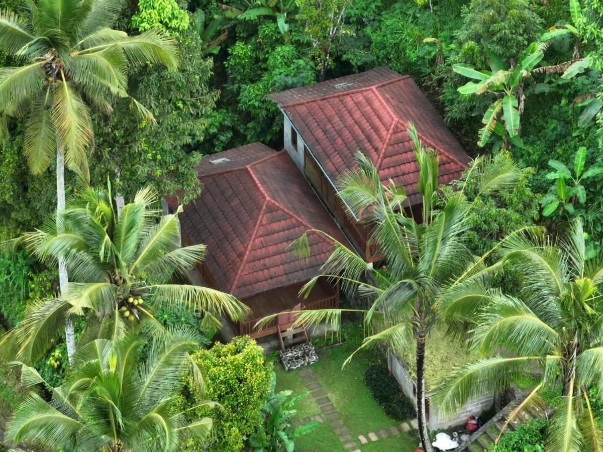 Uma D'Nyuh Homestay Singaraja Extérieur photo