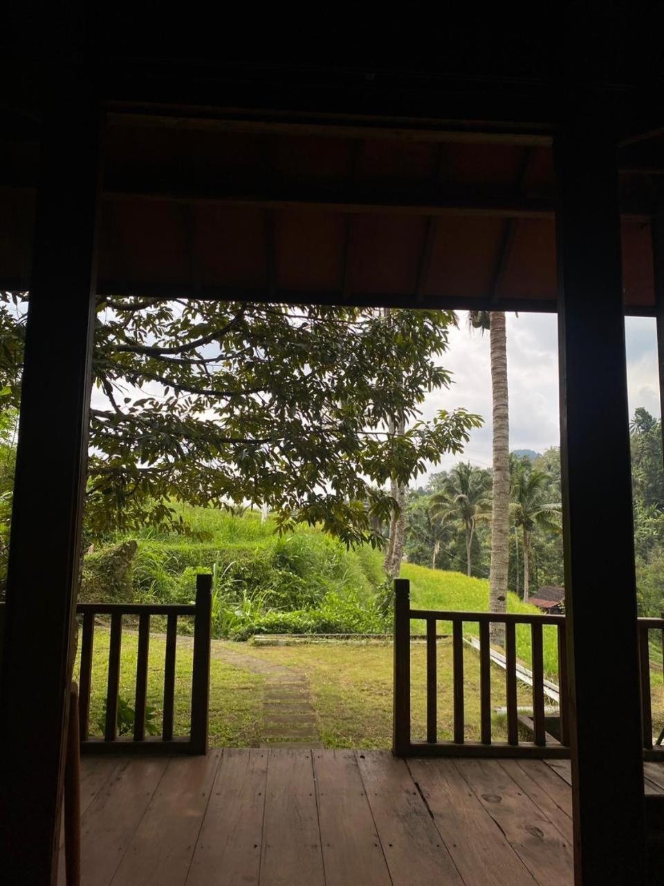 Uma D'Nyuh Homestay Singaraja Extérieur photo