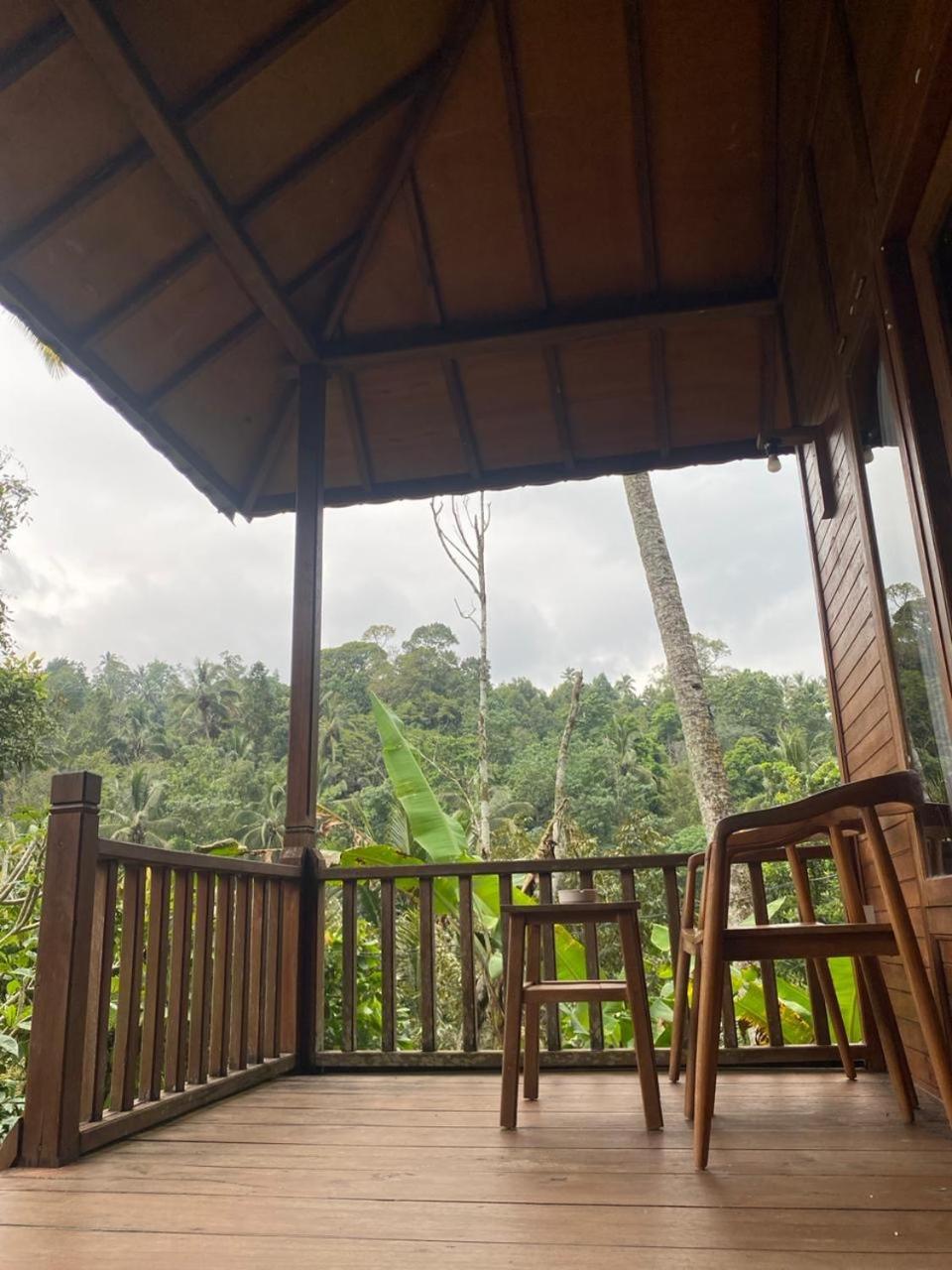 Uma D'Nyuh Homestay Singaraja Extérieur photo
