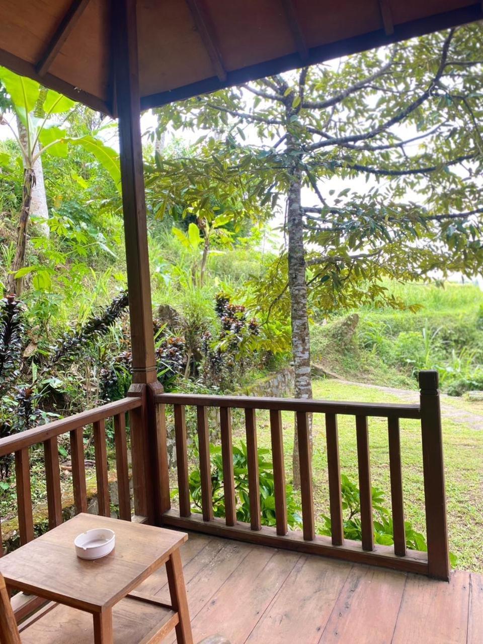 Uma D'Nyuh Homestay Singaraja Extérieur photo