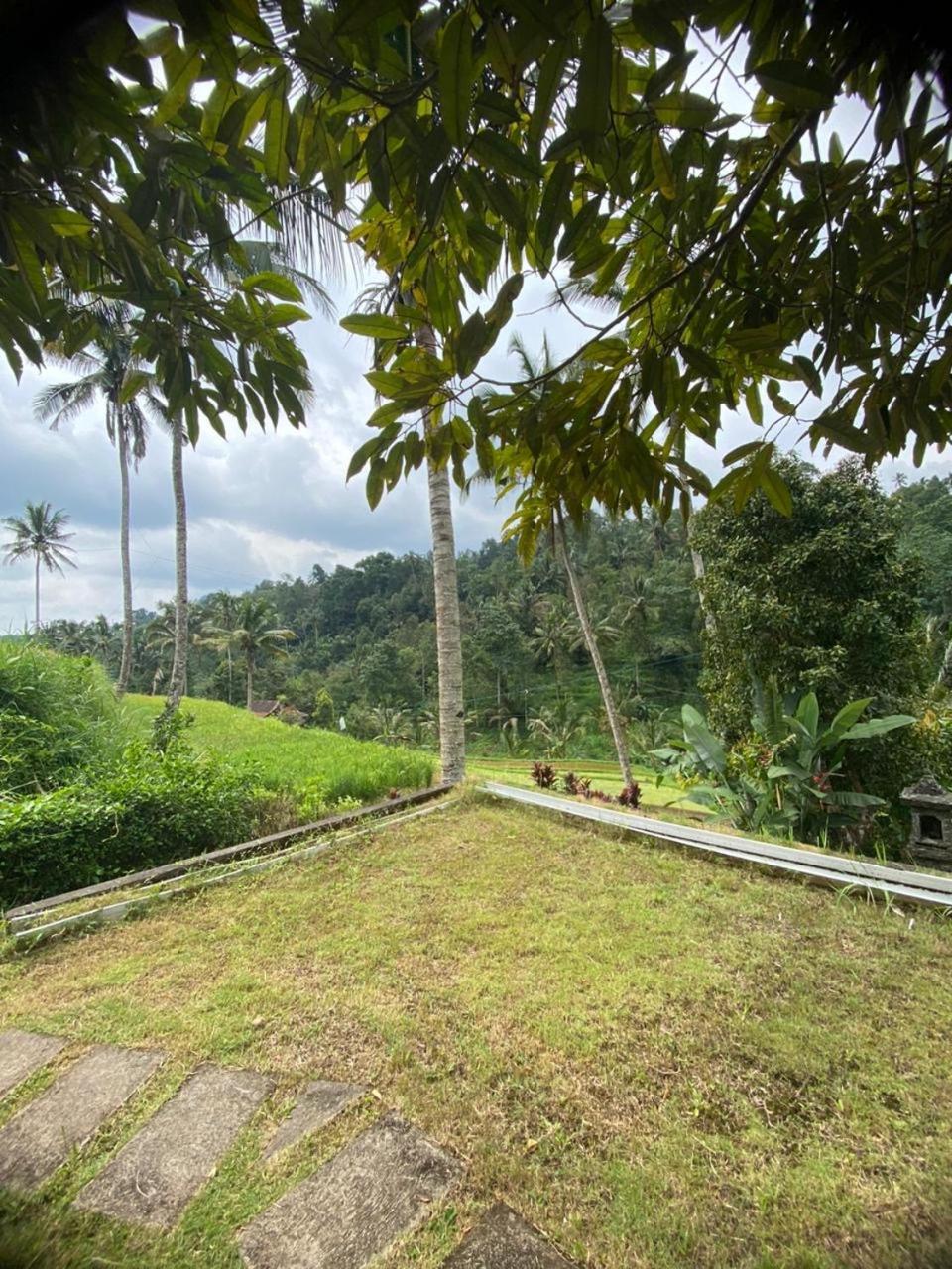 Uma D'Nyuh Homestay Singaraja Extérieur photo