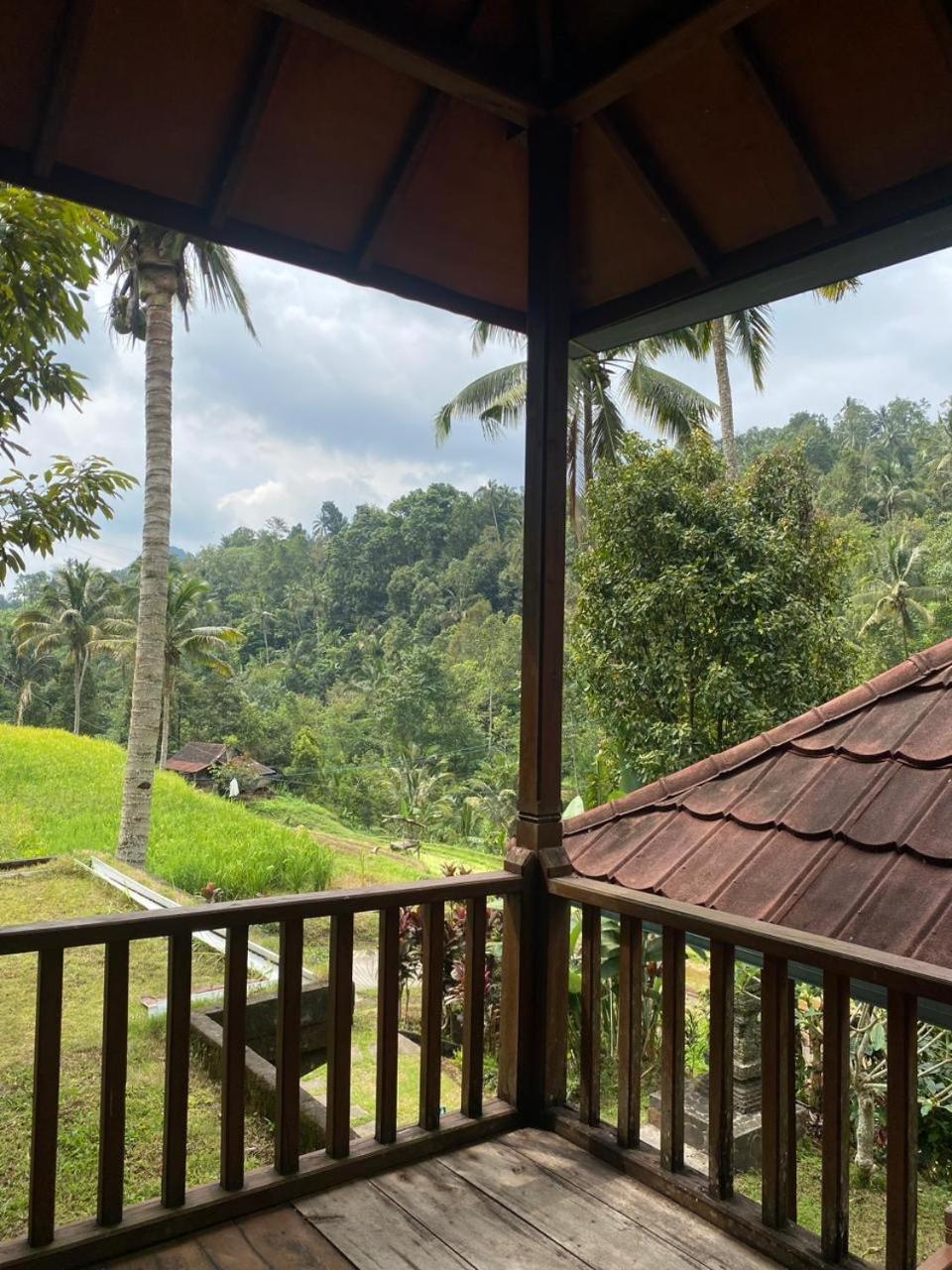 Uma D'Nyuh Homestay Singaraja Extérieur photo