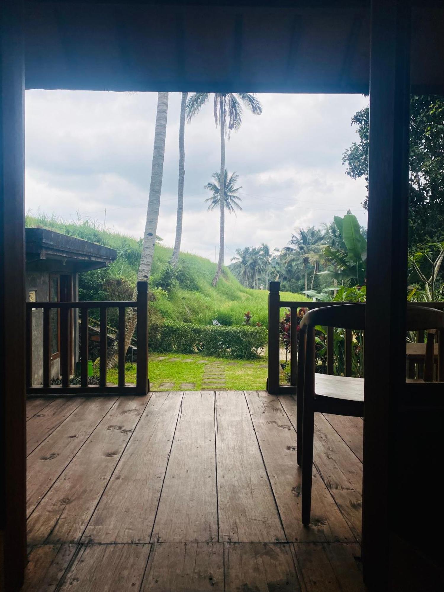Uma D'Nyuh Homestay Singaraja Extérieur photo
